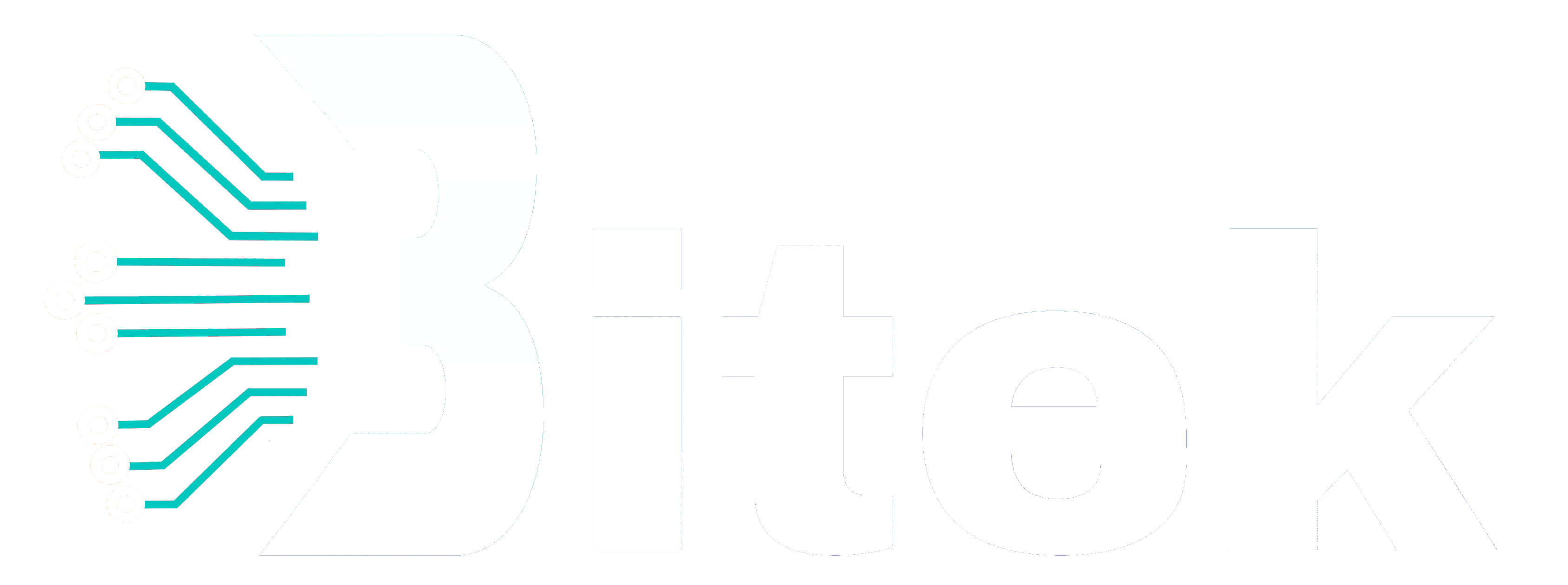 Bitek Yazılım Logo